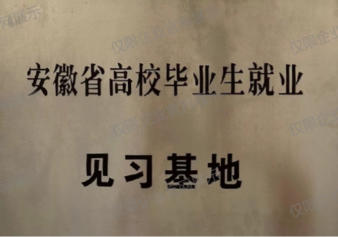 安徽省高校毕业生就业见习基地